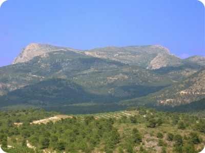 land8.png